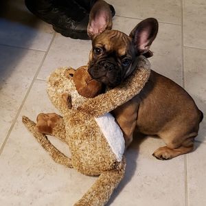 Meet your Posher, Kim-jojo